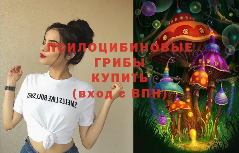 Псилоцибиновые грибы Cubensis Камышлов